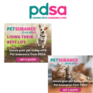 pdsa pet insurance for dog or cat helping British vet charity