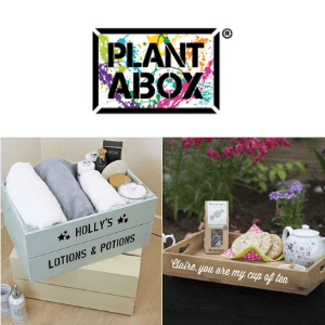 wooden storage crate and wooden tea tray personalised for her with beauty products and teapot made in uk by plantabox, british gifts