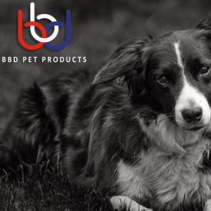 BBD pet products