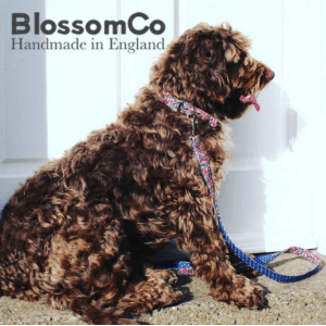 Blossom Co, Union Jack dog collars and leads, union jack dog accessories, union jack pet accessories