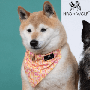 Hiro and Wolf, British Pet Accessories Brand