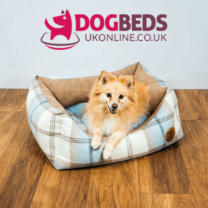 dog beds online uk