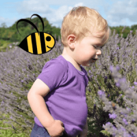 beeboobuzz, british made children's clothing, toddler wearing purple t shirt in lavender field with bumble bee animation,